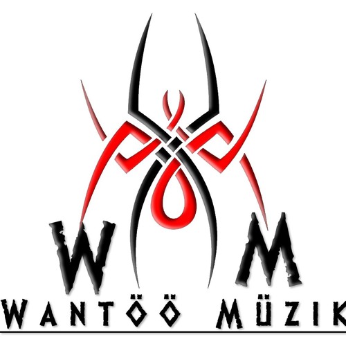 Wantoo Muzik’s avatar