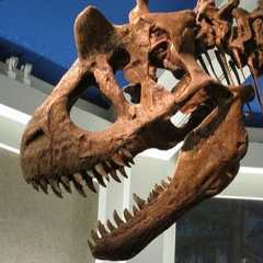 DinoAndy