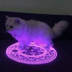 Neko_4