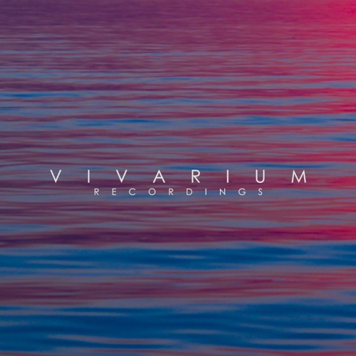 Vivarium Recordings’s avatar