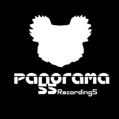 PANORAMA55 RECORDINGS