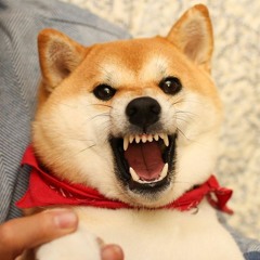 Angry Lightning