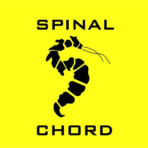 Spinal Chord’s avatar