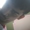 gdfy b
