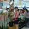 Đu Đủ Xanh