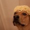 noodle_bwoy