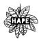HAPE Collective