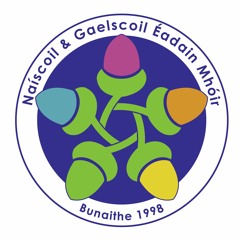 Gaelscoil Éadain Mhóir