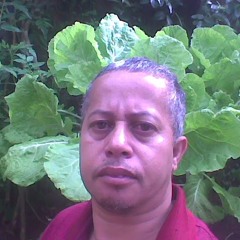 Jose da Silva Lima