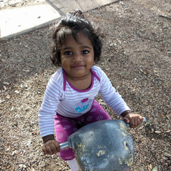 Chatrapathy Velagandula
