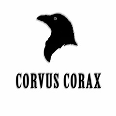 Corvus Corax
