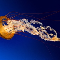 Евгения Турбина