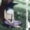screb