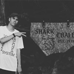 Hardcore Punk Rock I dont want your platypus