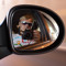 Dima_AU