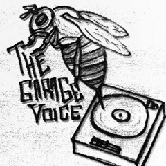 The_Garage_Voice