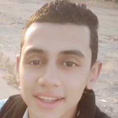 محمد السيد علام