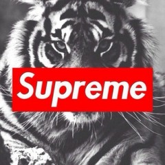 🐟🐟🌊🌊👀👀