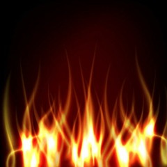 WILDNOISE aka MADEW