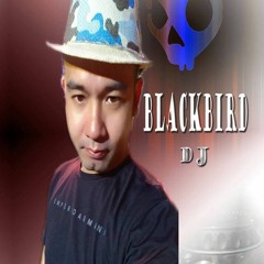 BlackBird Romeo