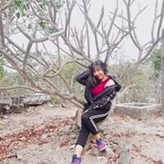 Vy Trần Lê