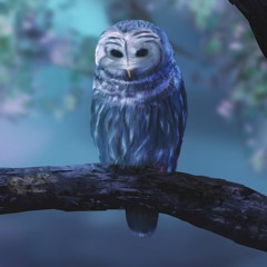 MR HOWL