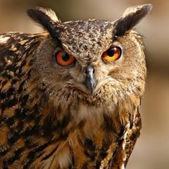 Татьяна Перепелица