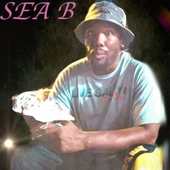 SEA B