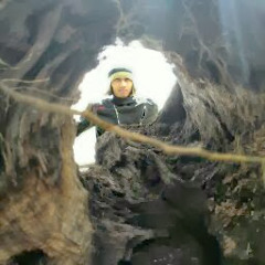 Andi TP