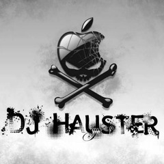 DJFELIPEHauster