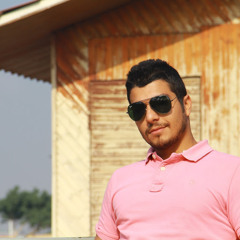 ehsan hamidi