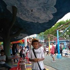 ariel