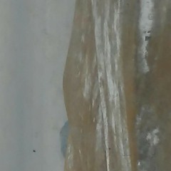 ADIO