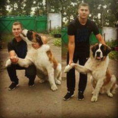 Ярослав Дмитренко
