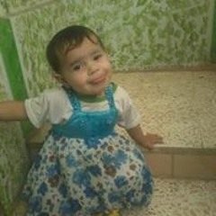 عمار المصري