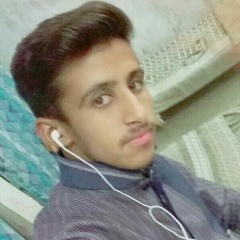 Raja Aqib Shehzad
