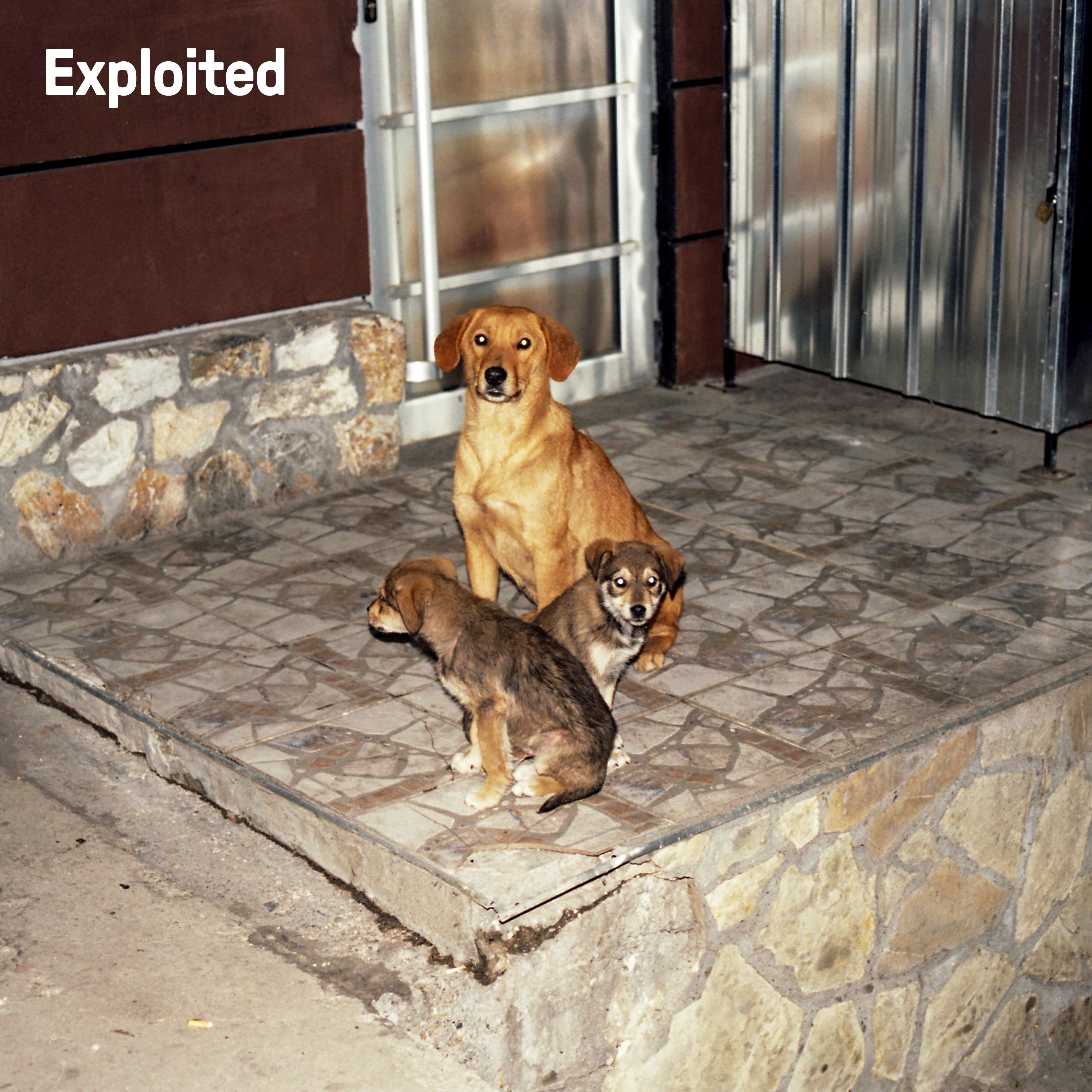 Exploited