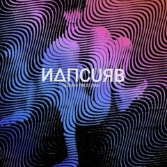 NAMCURB