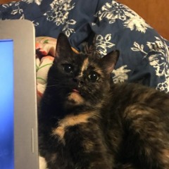 Get Out Of My Fishtank