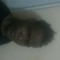 yvon camille