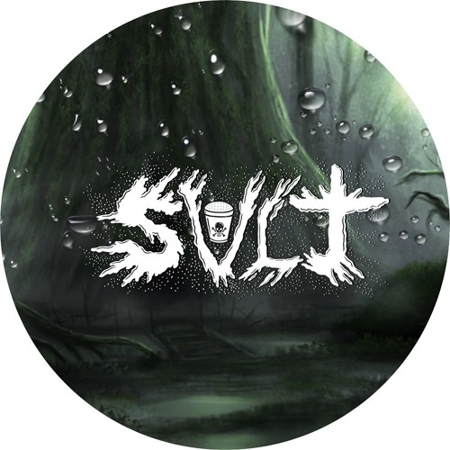 SVLT’s avatar