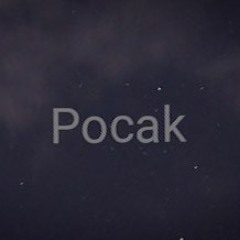 Pocak