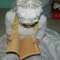 syubbam