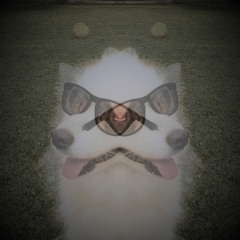 Inc.Ape