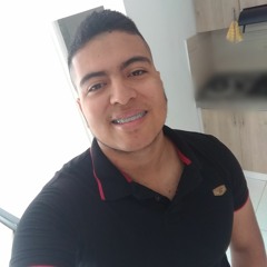 Andres Villegas