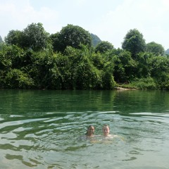 venshanidealwis