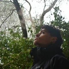sisas