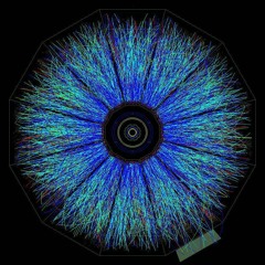 TheDataists