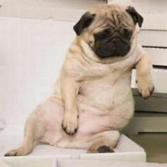 Павел Сергиенко