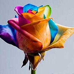 Платина Abu Dhabi Ba6y (slowed+reverb)